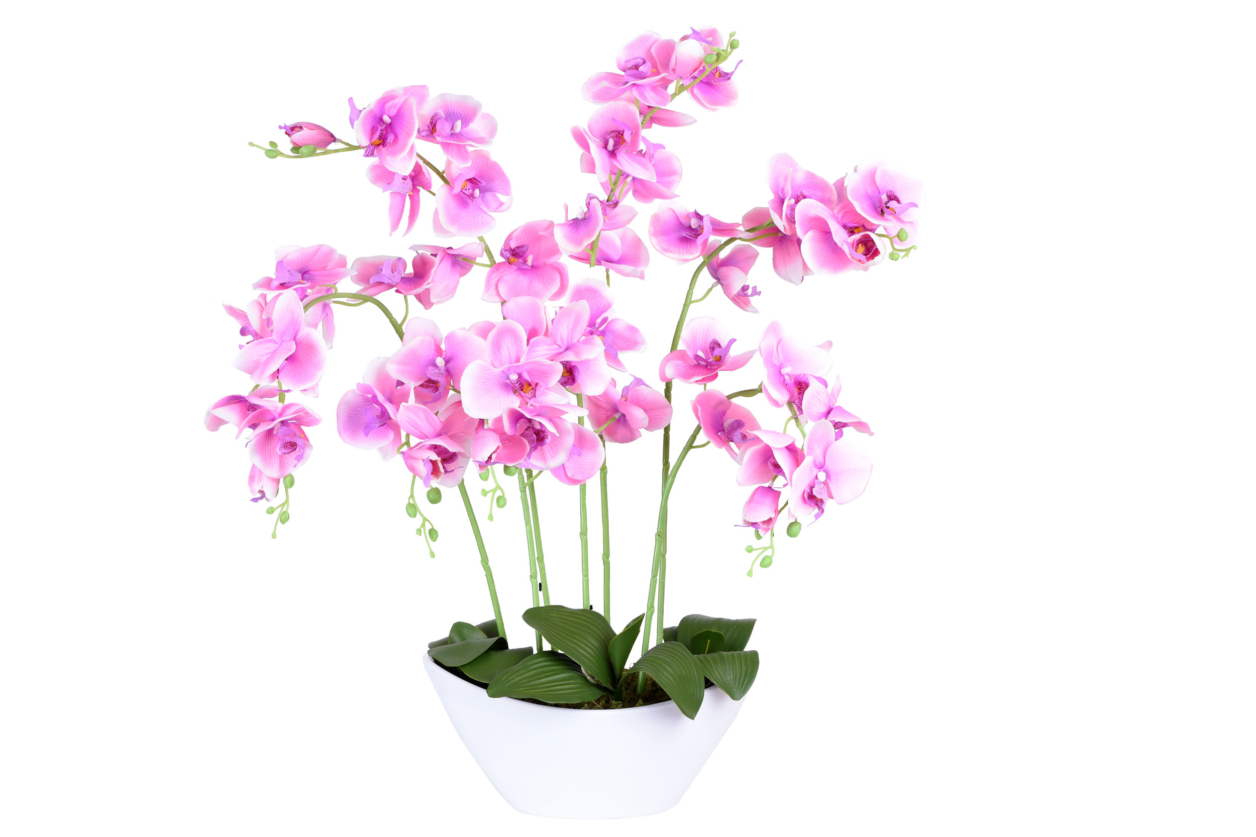 Storczyk sztuczny w donicy 56 kwiatów orchidea 7 pedowa