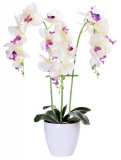 Storczyk sztuczny 24 kwiaty biały